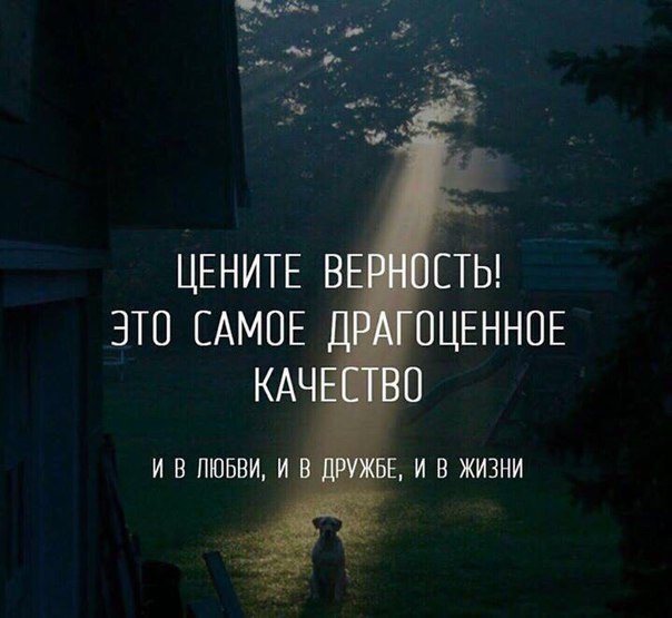     - 13  2018  03:54