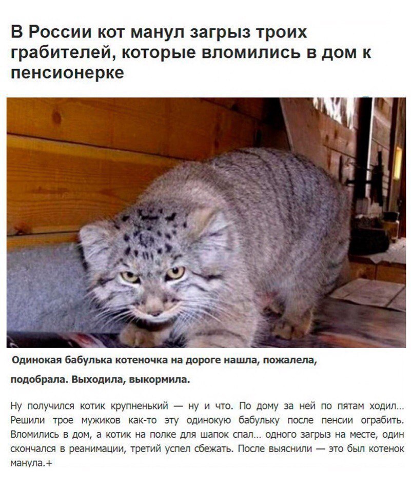   - 10  2018  12:48