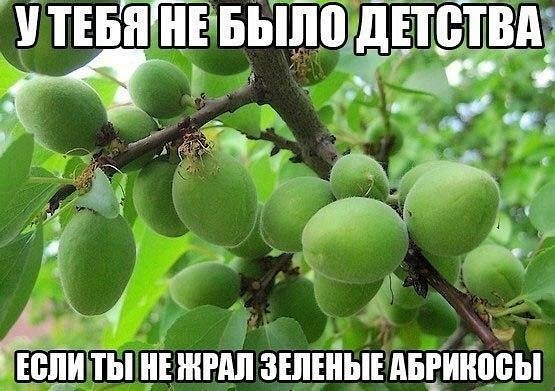 ? ,  ! - 9  2018  03:59