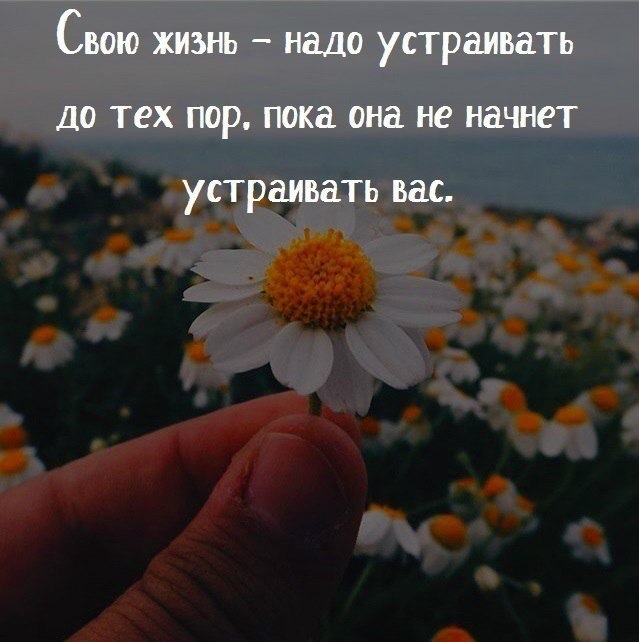 | Wisdom & Beauty - 30  2018  03:47