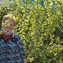 ���� �����, �����-��-����, 68 ��� - ��������� 29 ������ 2017 � ������ ���� ����������