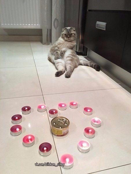 14     :