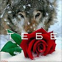 ���� ���������, ��������, 62 ���� - ��������� 29 ������ 2018 � ������ ������ ��������