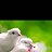 ���� Yusif, ����, 32 ���� - ��������� 29 ����� 2018