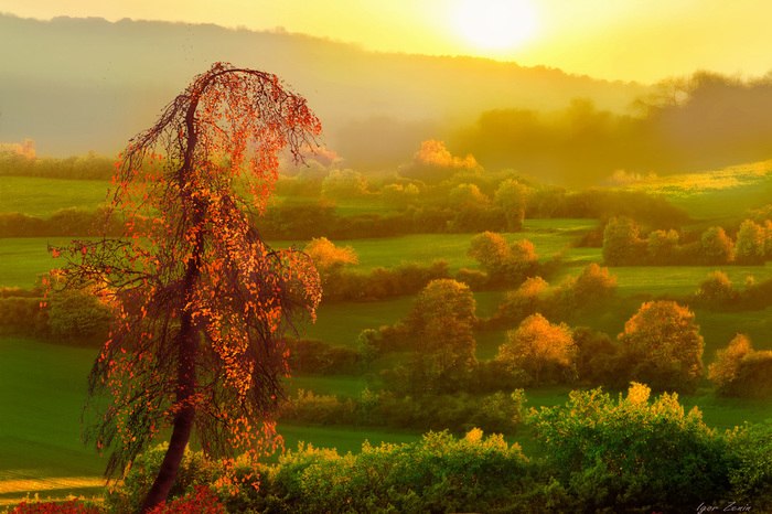 ))).Igor Zenin - 4