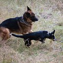  , , 60  -  27  2018     Ecce Homo ()