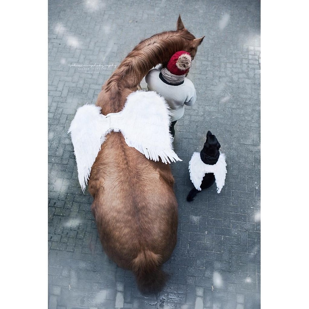  -   ! - 26  2017  03:27