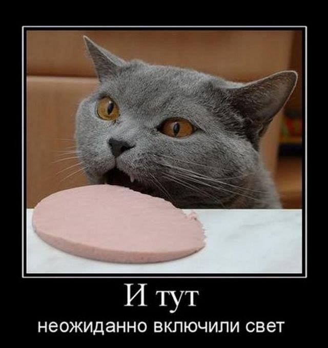 )))