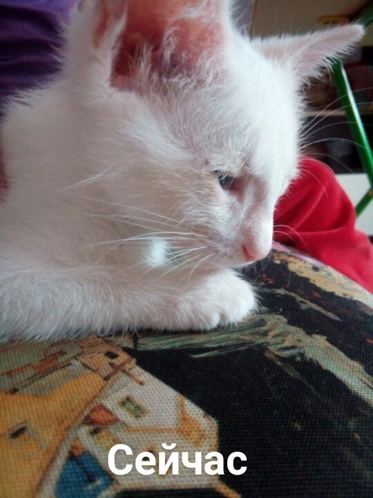 #_.2            ,  3 ... - 3