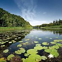 ���� ������, ����, 52 ���� - ��������� 29 ��� 2018 � ������ ��������