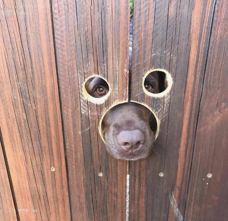   :   )))