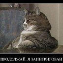���� ������ �, ��������, 49 ��� - ��������� 20 ������ 2018 � ������ ���� ����������