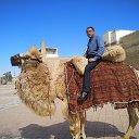 ������ �� ������� ���� ����������