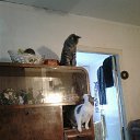 ��� ������ ����� ��... �� ������� ���� �������� � ������ �����...�