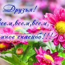 ���� ����, ������ - ��������� 5 ������� 2018 � ������ ������ ��������