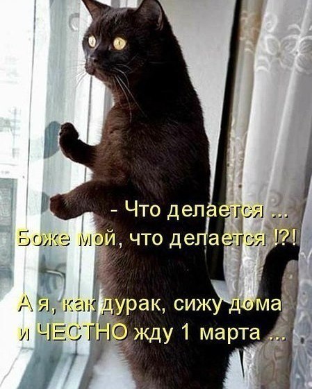 ***Victoria Viktorovna*** - 21  2018  15:31