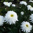 ��� ������� ������� �� ������� ���� ����������