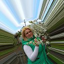 ���� �����, ������������, 41 ��� - ��������� 1 ���� 2018 � ������ ���� ����������