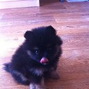 ���� ���������, �����-���������, 57 ��� - ��������� 17 ������ 2018 � ������ �������