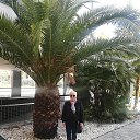  Margarita,  -  4  2018    