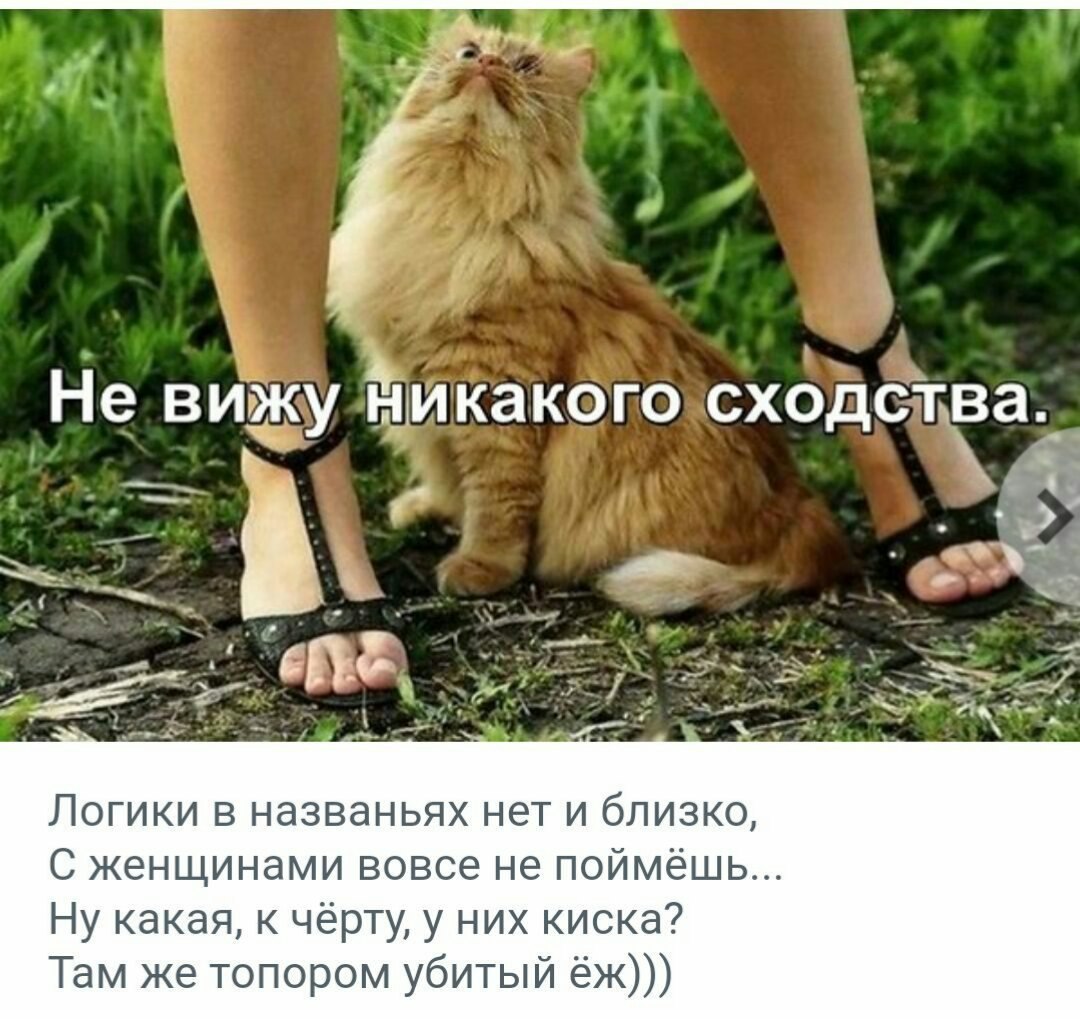   - 19  2018  08:55