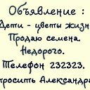  ,  -  7  2018   