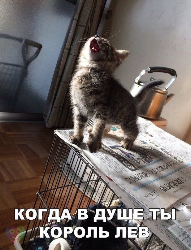    - 12  2018  20:20