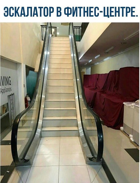  -   - 29  2017  03:41