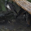 ���� ������, ������ - ��������� 25 ��� 2018 � ������ ��������� �������