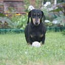 ���� Mishka, ������ - ��������� 26 ���� 2018 � ������ ���� �����