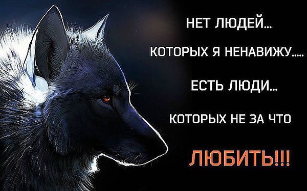 Lev. - 20  2018  01:53