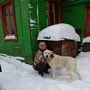 ���� �������), ������������ - ��������� 1 ������� 2018 � ������ ���� ����������