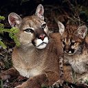 ���� ������, �������� - ��������� 4 ���� 2018 � ������ ���� �� �������� ����...�