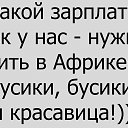 nv �� ������� ���� ����������