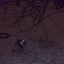 ���� �������� ���������, ������, 65 ��� - ��������� 24 ������ 2018