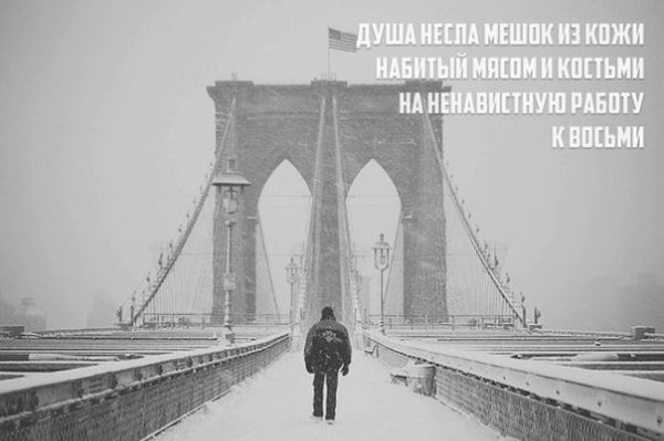 Лаконичный юмор на злобу дня сетевой поэзии с яркими иллюстрациями. - 8