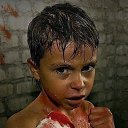 ���� ������, ����, 43 ���� - ��������� 21 ������ 2018