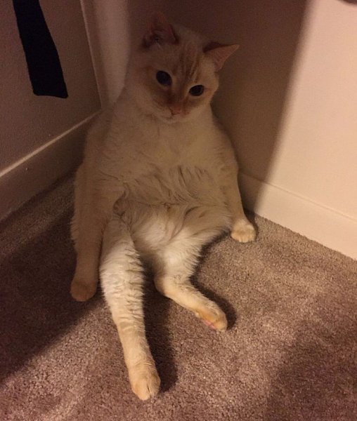 ����� ������� ���� � ������ ��� ����