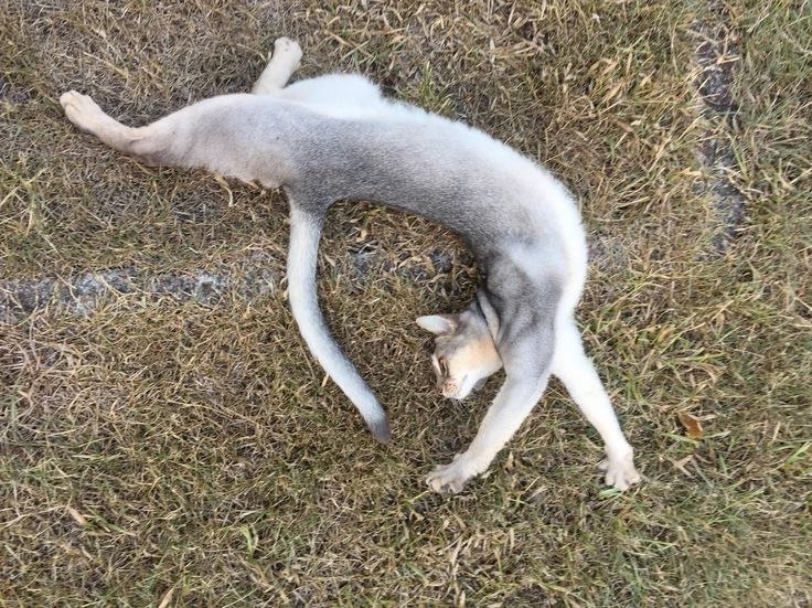 ��� � ������ ��������� ������� � ���� ������ ����������� ���������� ������� (������� ����������, ... - 4