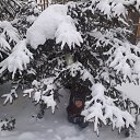 ���� �����, ��������� - ��������� 21 ������ 2018 � ������ ���� ����������