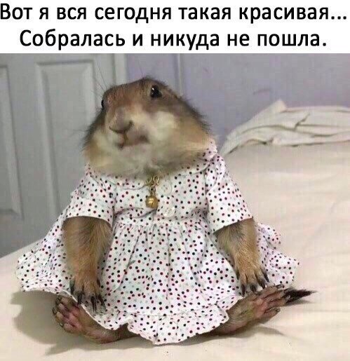    - 18  2017  04:54