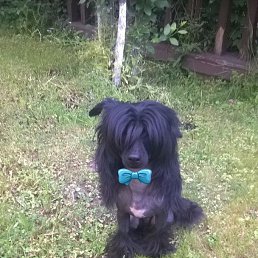 �������, ������, 50 ���