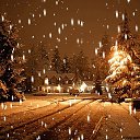 ���� ���������, ������, 48 ��� - ��������� 5 ������ 2018 � ������ ���� ����������