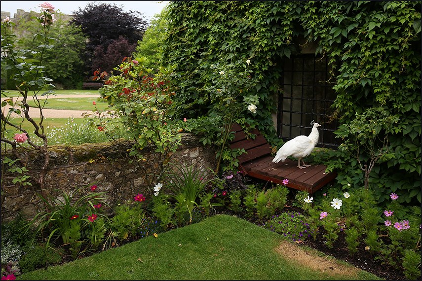 .    /Amberley Castle.  - Amberley Castle  ... - 42