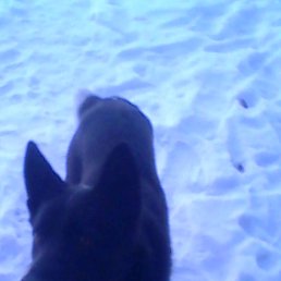 ���� ������, �����, 51 ��� - ��������� 14 ������� 2018