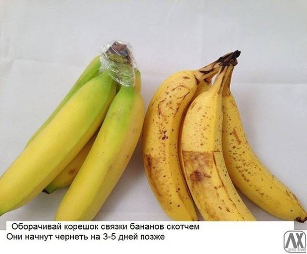 10 хитрых кухонных лайфхака, о которых не знает даже твоя мама - 10