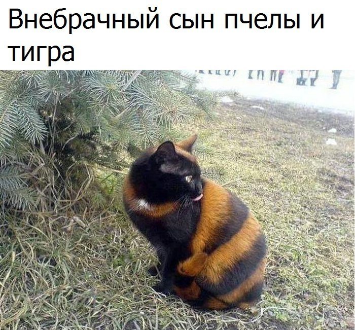 LIFE -  - 22  2018  03:39