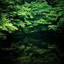 ���� ������, �����-���������, 53 ���� - ��������� 5 ������� 2018 � ������ ���� ����������