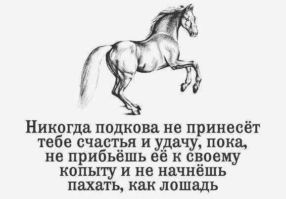 BEST | , ,  - 28  2017  03:47