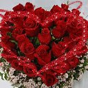 ���� ������ �����, �����������, 66 ��� - ��������� 8 ��� 2018 � ������ ������ ��������